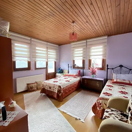 Sehir Merkezinde Lux *