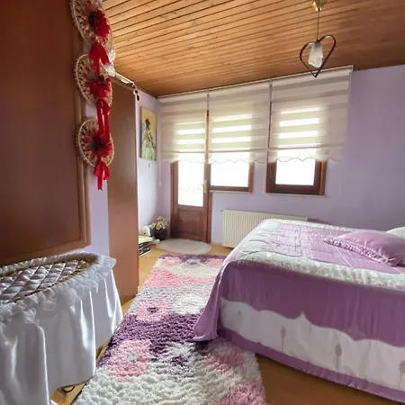 Sehir Merkezinde Lux *