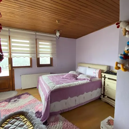 Sehir Merkezinde Lux