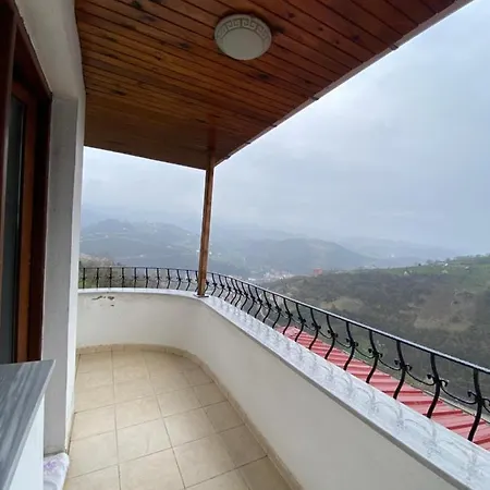 Sehir Merkezinde Lux Apartment