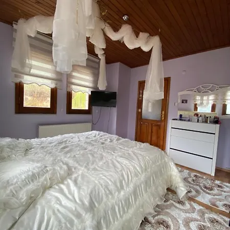 Sehir Merkezinde Lux